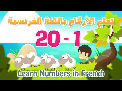 فيديو: كيف تعد إلى 12 بالفرنسية؟
