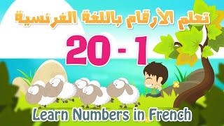 Learn Numbers in French for kids 1 to 20 | تعلم الأرقام بالفرنسية  للأطفال ١ الى ٢٠