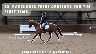 My Ex-Racer does DRESSAGE for the first time || Equestrian Melissa Eventing