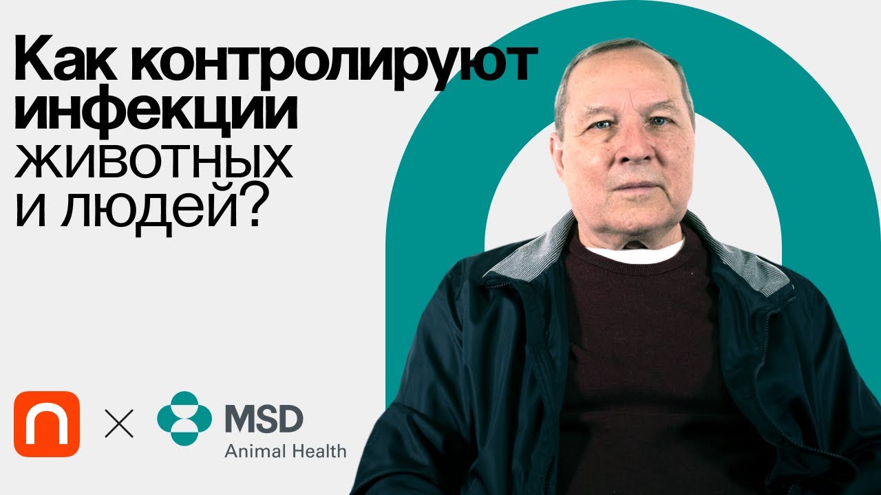 Зоонозы: профилактика и контроль / Владимир Макаров на ПостНауке