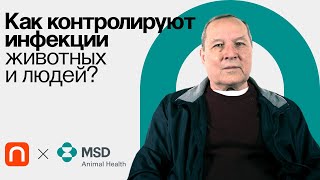 Зоонозы: Профилактика И Контроль / Владимир Макаров На Постнауке