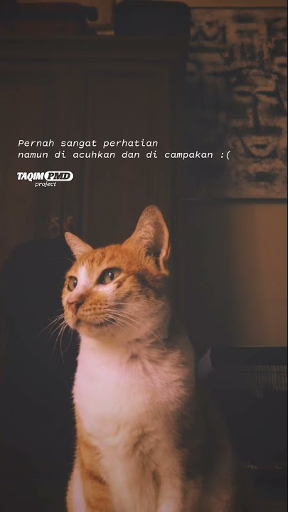 STORY WA 30 DETIK | DJ QUOTES | LITERASI SAD | STORY WA VIRAL!
