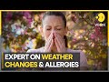 How climate change is making seasonal allergies worse  wion climate tracker