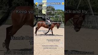 🌼HOW TO CANTER? 🌼 #tutorial #horse #canter