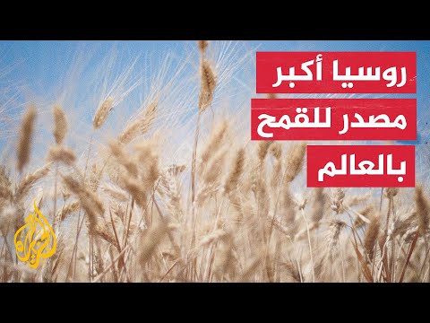 تداعيات خطرة.. أوكرانيا قد لا تنتج محاصيل كافية للتصدير إذا تعطلت الزراعة