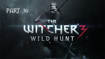 The Witcher Wild Hunt - Part 29 - Reuven