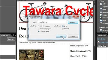 IGCSE ICT 0417 2014 November Paper 3 - Website Editing - 4/5 Steps 38-45