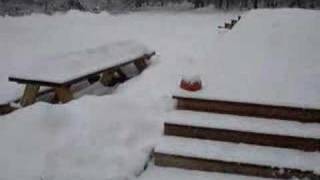 Flying....Floating....FALLING