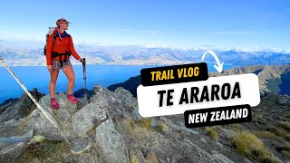 River Crossings and Mountain Summits — Te Araroa 7