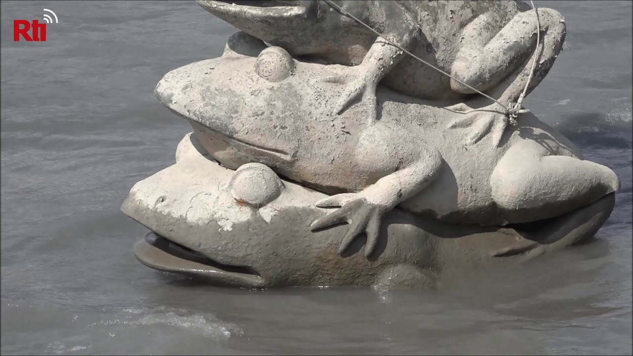 Underwater frogs visible as Sun Moon Lake water level drops |Taiwan ...