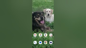 A tutorial how to put an announcement on proton bus simulator Urbano with the games own route