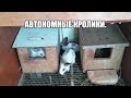 Автономные кролики на даче. Купили много кроликов.