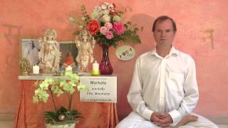 Markata Affe, Meerkatze - Sanskrit Wörterbuch