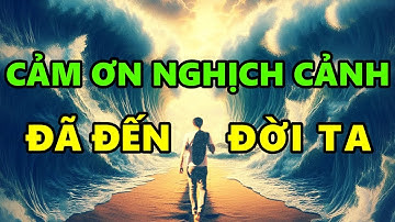 Cảm ơn những nghịch cảnh đến với cuộc đời ta