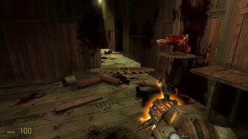 Half-Life 2 Bullet Physics engine integration rough test