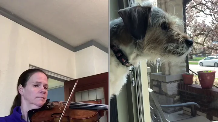 SLSO at Home | Kristin Ahlstrom, violin