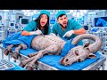 CREEPYHORSE FOI ASSASSINADO * descobrimos o culpado??????????????
