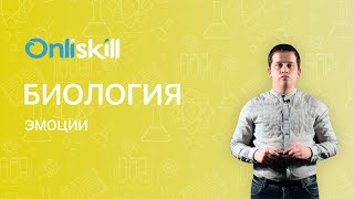 Биология 8 класс. Эмоции