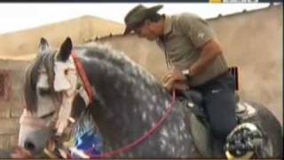 Badou Zaki : Star sur aljazeera sport -Part13-