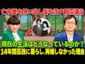 【新沼謙治】「徹子の部屋」で明かした驚きの現在の暮らし!14年間孤独に暮らし、再婚しなかった理由に涙...歌手生活50周年を記念した特別企画とは?
