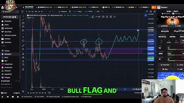 Dogelon Mars ELON: Price Prediction & Bullish Signals!