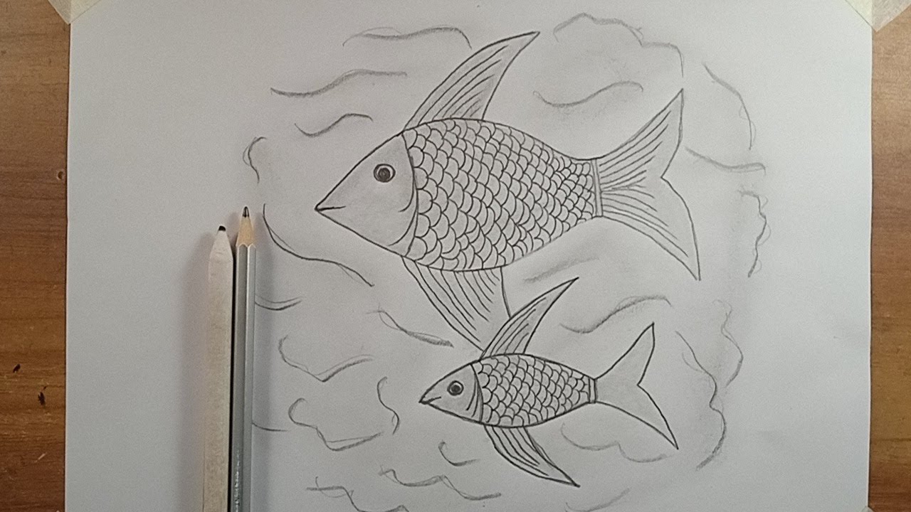 Fish Drawing Easy | how to draw fish from beginners||drawing video ...