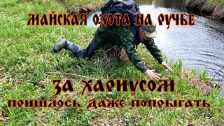 видео: ФОРЕЛЬ И ХАРИУС В МАЕ 2025 картинка: ФОРЕЛЬ И ХАРИУС В МАЕ 2025