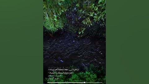 ماتيسر من سورة الزمر | القارئ: محمد هشام.