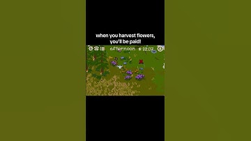 what other ways should i add to make money? Wishlist MUDBIRD! #gamedev #indiegames #cozygames