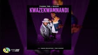 Thama Tee & Chley feat. Sbuda Maleather & Pabi Cooper - Kwazekwamnandi( Audio)