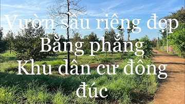 bán vườn sầu riên vuông vứt 2 mặt tiền tại châu đức tỉnh bà rịa vũng tàu