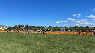 Ферма В Лонг Айленде. Третья Прививка.