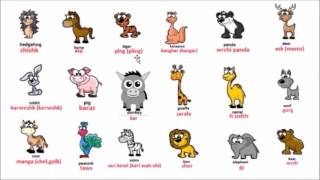learn kurdish language lesson 6: animals screenshot 4