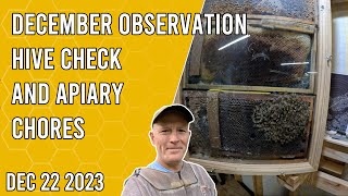 December Observation Hive and Apiary Checks - Jacksonville FL Zone 9b
