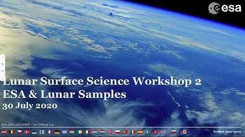 Lunar Surface Science Virtual Workshop: Samples and Curation: Francesca McDonald
