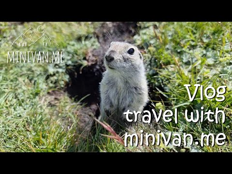 Мишлен в Архызе,