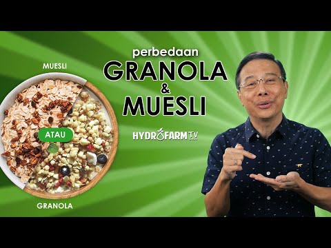 Video: Adakah granola dicipta di kayu?