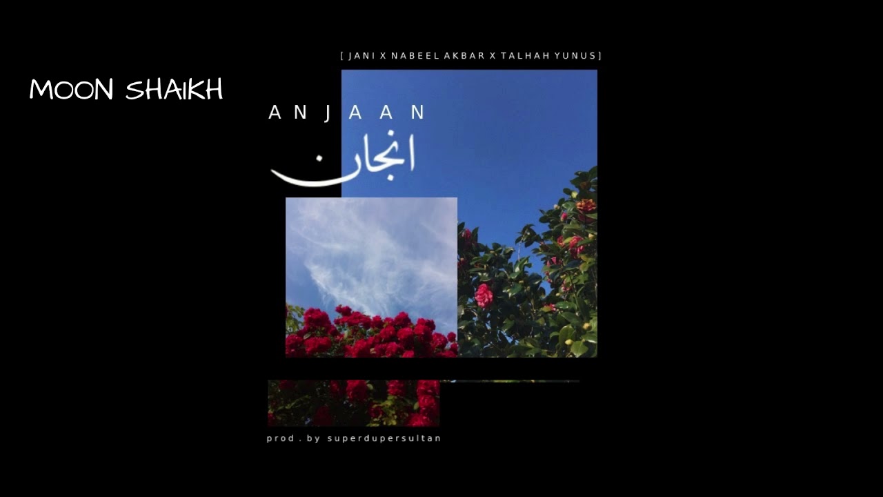JANI-ANJAAN lyrics  ft.Nabeel Akber & Talha Yunus