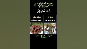 سورة مريم، [الآيات: 25-26] القارئ الشيخ محمد الفقيه حفظه الله