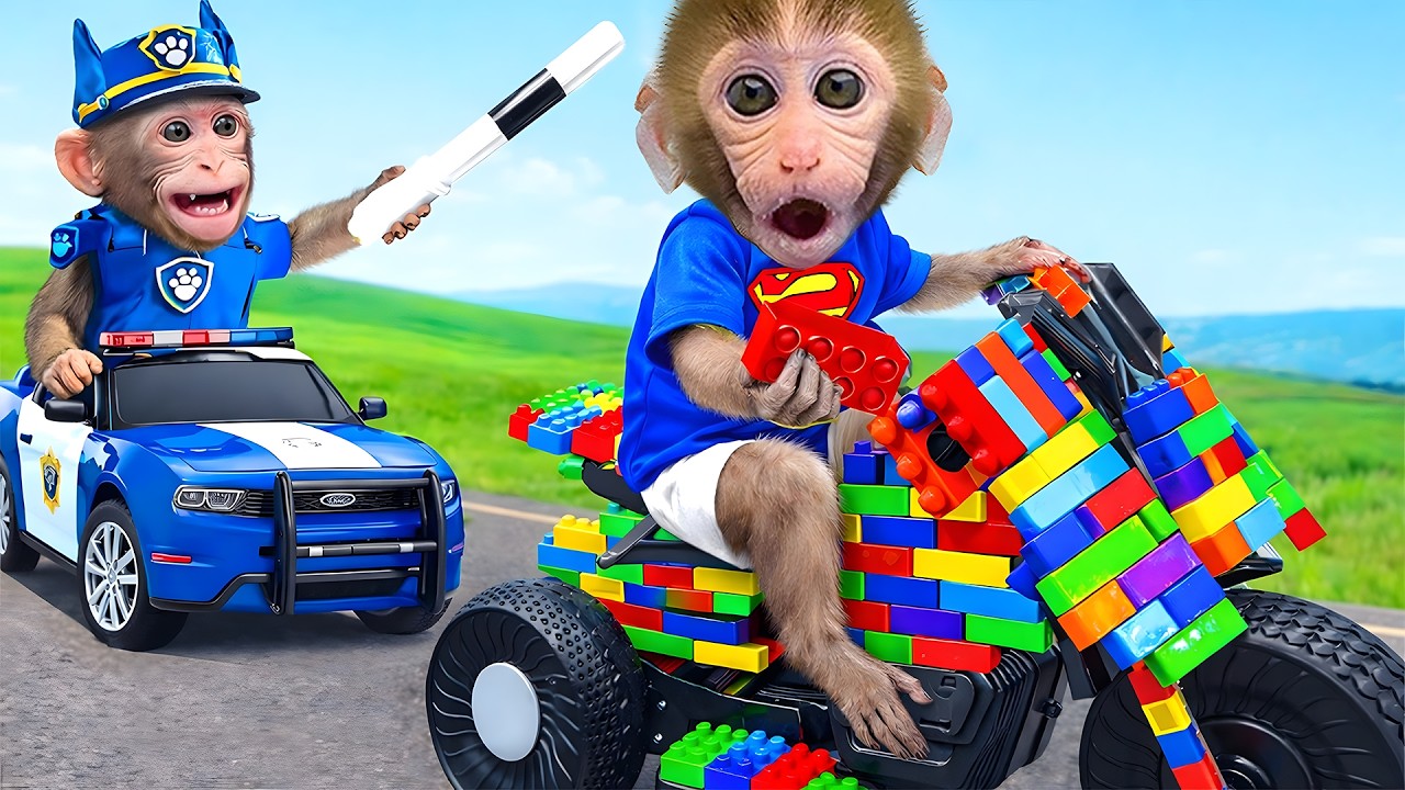Singe Bon Bon joue avec un incroyable vélo LEGO et sauve des animaux amusants
