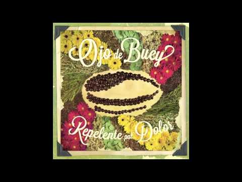 Nuestra dirección - Ojo de Buey