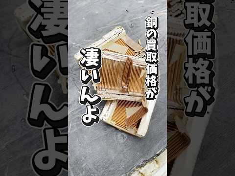銅の買取価格が凄いんよ！！！！ #scrap#スクラップ#解体