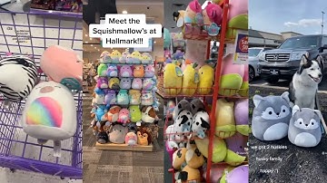 SQUISHMALLOW Hunting TikTok Compilation #6