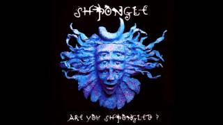 Shpongle - Are You Shpongled? (Full Album)