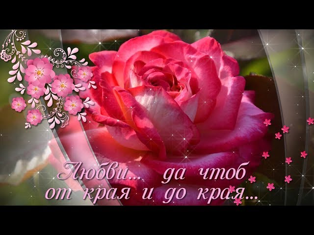 Смотри вперед... не бойся огорчений... Смотреть видео Смотри вперед... не бойся огорчений...