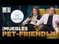 Muebles que todo dueño de mascotas amará 🐶🐱 | Temporada 10 | Shark Tank México