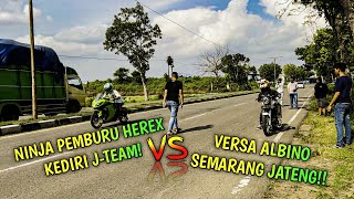 VERSA ALBINO 🆚 NINJA PEMBURU HEREX