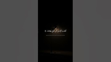 أَيَحۡسَبُ ٱلۡإِنسَٰنُ أَلَّن نَّجۡمَعَ عِظَامَهُۥ | محمد صديق المنشاوي | سورة القيامة