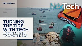 Turning The Tide With Tech: Türkiye's Fight To Save The Sea | NexTech