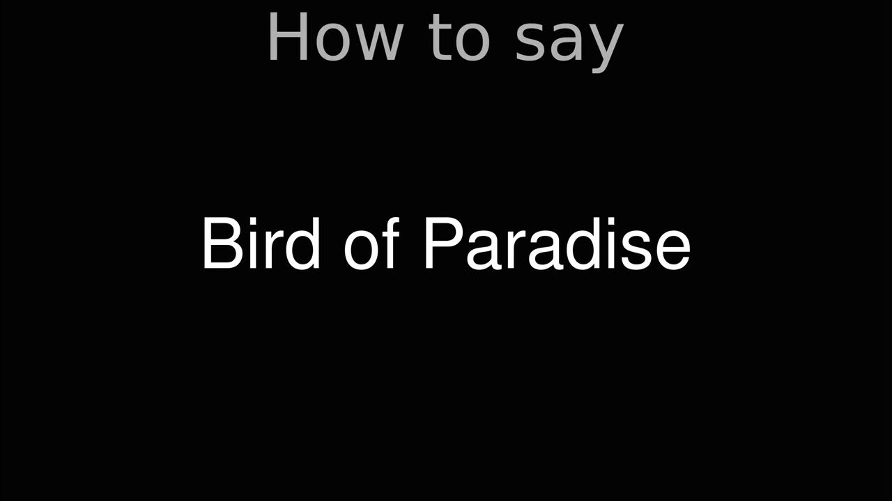How to Pronounce correctly Bird of Paradise (Movie) - YouTube